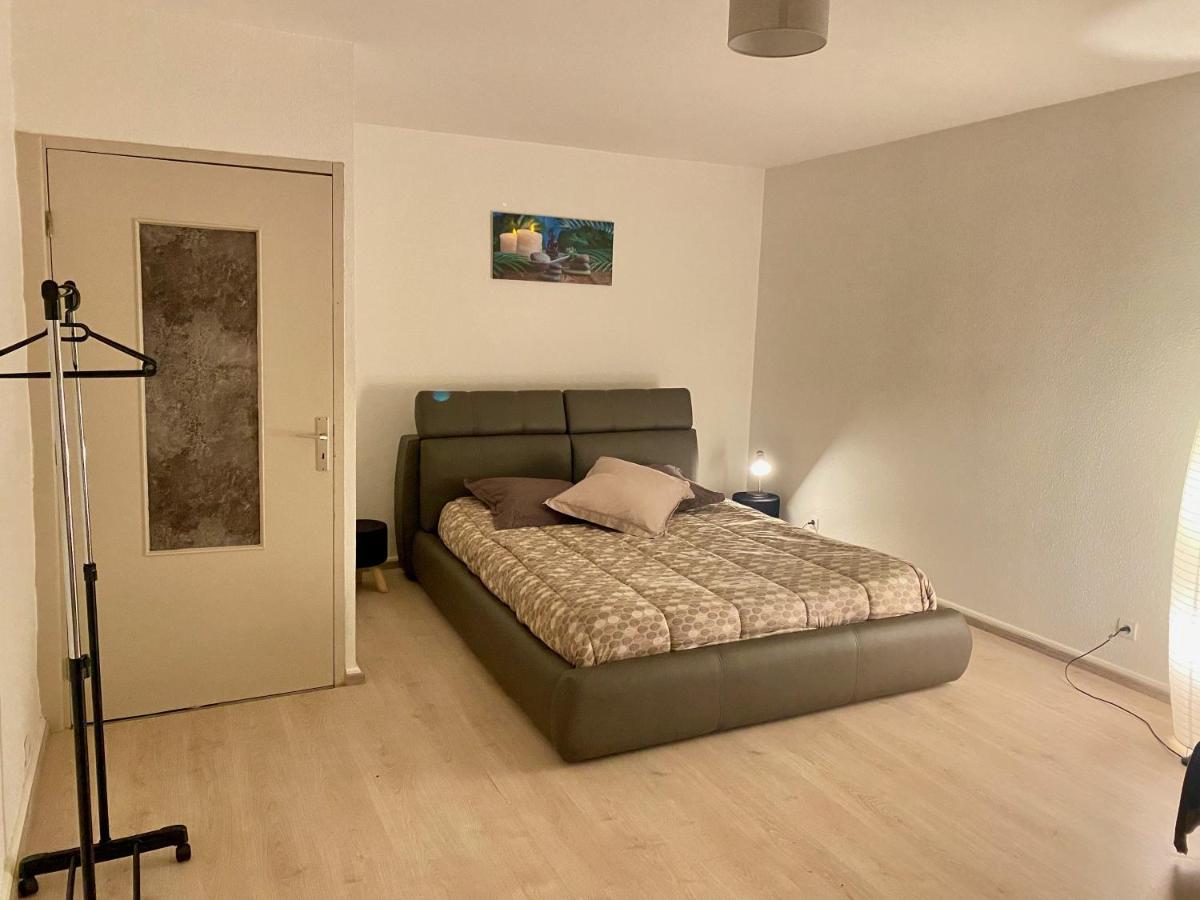 Appartement   Chez Falco   vue sur le château Schirmeck Extérieur photo