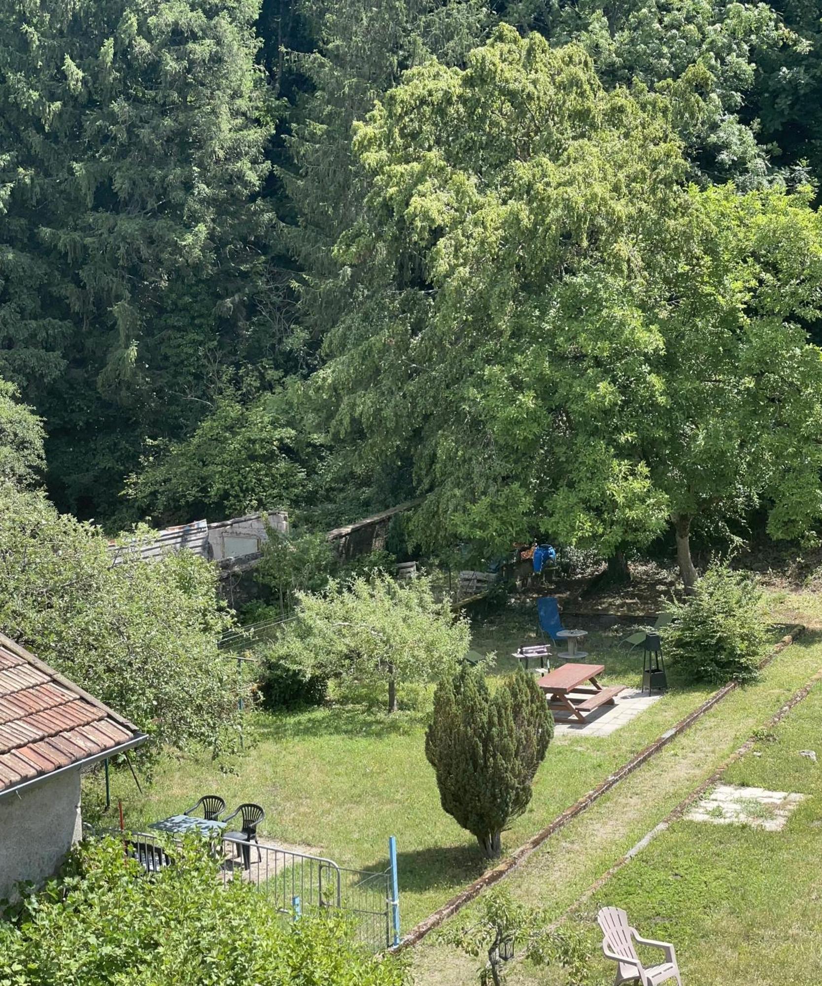 Appartement   Chez Falco   vue sur le château Schirmeck Extérieur photo